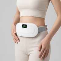 Vision & Joy's - PainFree Belt